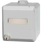 Datendose Cepex Leergehäuse (4375G)