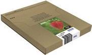 Epson Multipack 29XL EasyMail (C13T29964511)