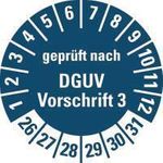 HEIN Industrieschilder HEIN 185697Prüfpl.DGUV3.26-31 bl PF O30mm 500/ROL (185697)