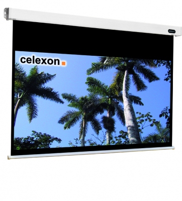 Celexon Motor Professional 67" Motorleinwand 16:9