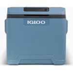 IGLOO IE42 DCAC thermoelektrische Trollykühlbox (9620013371)