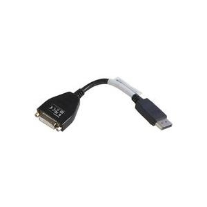 Lenovo 43N9160 DVI-D DisplayPort Schwarz Videokabel-Adapter (FRU43N9160)