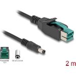 DeLOCK 80496 Kabeladapter USB DC 5.5 Schwarz (80496)