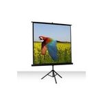 Celexon Economy 1:1 Tripod Screen 184 x 184 (1090016)