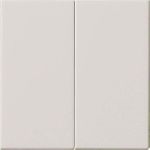 Bedienaufsatz 536203 S3000 2f System 55 reinweiß (536203,00)