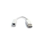 StarTech.com DisplayPort auf Mini DisplayPort Adapter (DP2MDPMF6IN)