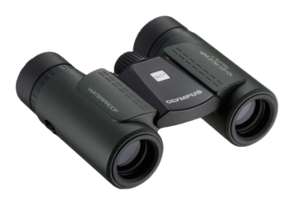 Olympus 10x21 RC II WP Fernglas Dunkelgrün
