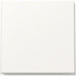 GIRA Wippe 329666 TX44 WG UP rws (329666)