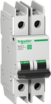 Schneider Electric C60BP Stromunterbrecher 2P (M9F42210)