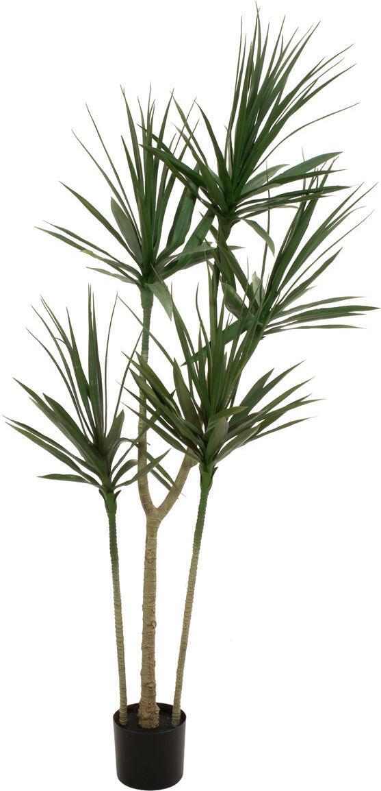 EUROPALMS Dracena, Kunstpflanze, grün, 170cm (82505799)