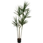 EUROPALMS Dracena, Kunstpflanze, grün, 170cm (82505799)