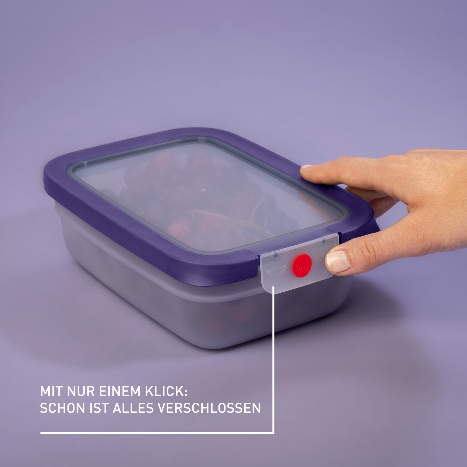 EMSA oneClick Frischhaltedosen 3-teiliges Space Saving Set (0,5 / 1,2 / 2,3 L) N12304