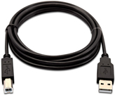 V7 USB-Kabel USB (M) zu USB Typ B (M) (V7USB2AB-02M-1E)