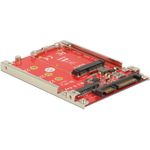 DeLOCK Speicher-Controller (M.2) (62859)