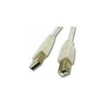 C2G USB-Kabel USB (M) zu USB Typ B (M) (81562)