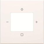 Busch-Jaeger Zentralscheibe 8252-884-101 (2CKA008200A0258)