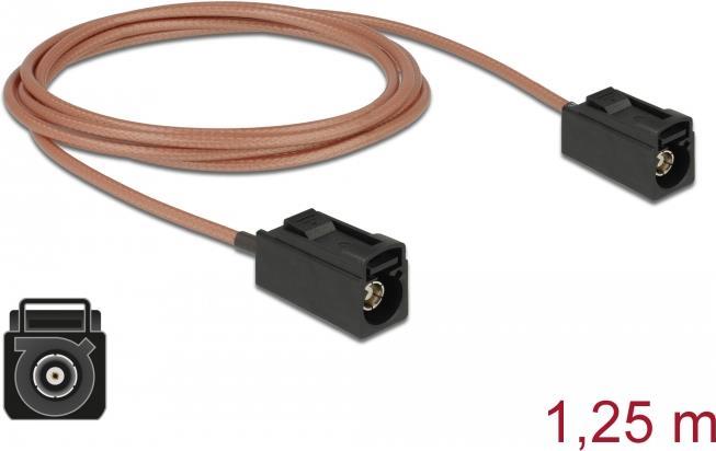 DeLOCK Antennenkabel (89679)