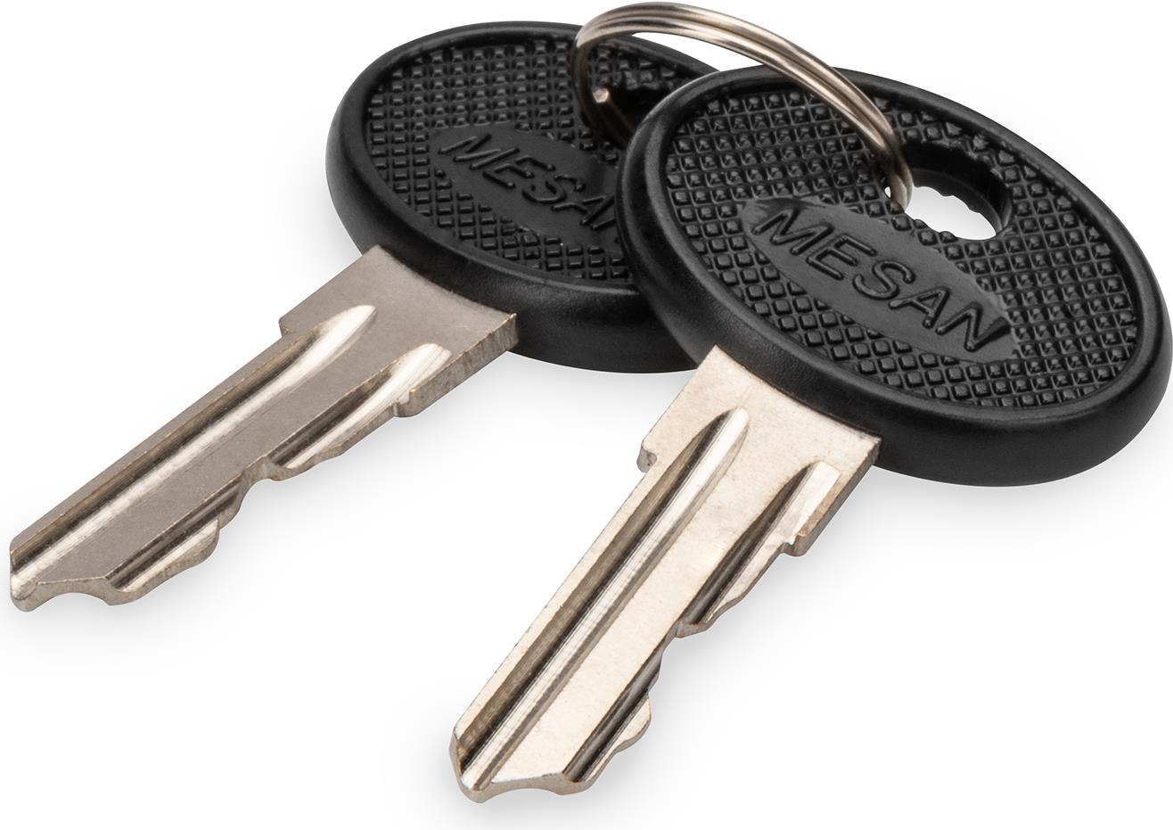 Digitus Schlüssel für Varioflex-N (DN-19-KEY-4444)