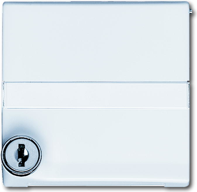 Busch Jaeger 2118 GKSLN-34 Weiß (1710-0-1969)