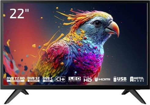 DYON Enter 22 Pro X2 22 Zoll Full HD LED-Fernseher 56 cm Schwarz