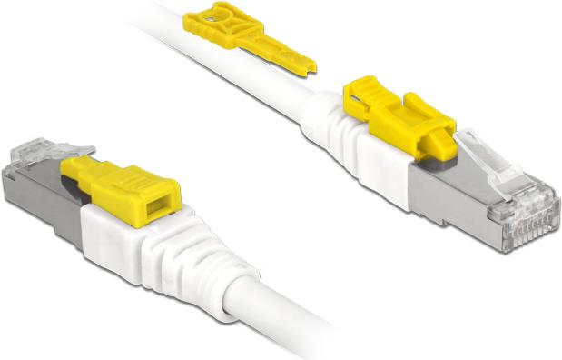 DeLOCK Secure Patch-Kabel (85330)