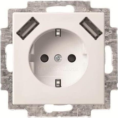Busch-Jaeger SCHUKO-2x USB Steckdose 20 EUCB2USB-914 (2CKA002011A6266)