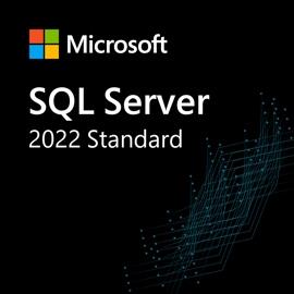 MICROSOFT 1 User CAL SQL Server 2022 CSP (DG7GMGF0MF3T:0002)