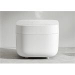Xiaomi Smart Multifunctional Rice Cooker (BHR7919EU)