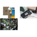 HERMA Büropackung Vielzwecketiketten Silphie 32mm - 24 Blatt (2076)