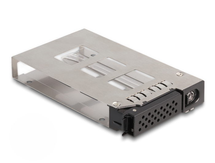 Delock Slim Bay Wechselrahmen für 2 x 2.5" U.2 NVMe SSD – Schwarz