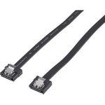 Renkforce SATA III Anschlusskabel [1x SATA-Buchse 7pol. - 1x SATA-Buchse 7pol.] 0.50 m Schwarz Renkforce (1391528)