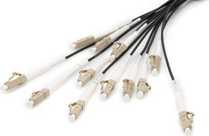 DIGITUS Kabelpeitsche (DK-2433CU030BK-BBB)