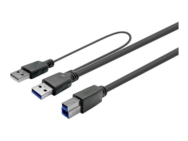 VivoLink PROUSB3AB10C-DUAL USB-Kabel 10 m USB A zu USB B Schwarz