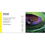 Epson Production Polyethylen (PE) (C13S450376)