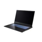 CAPTIVA Notebook Highend Gaming I94-358GE i7-13620H (17.3, 16GB, 500GB SSD, GeForce RTX 5070 8GB, Win 11 Pro) (94358)