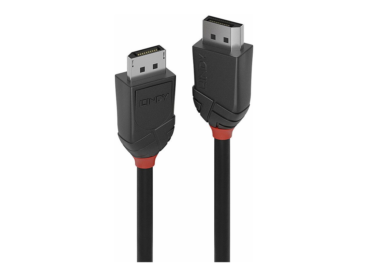 Lindy Black Line DisplayPort-Kabel 2 m Schwarz