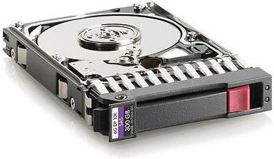 Hewlett Packard Enterprise 300 Gb SAS 10.000Rpm 2.5"  (W125833984)