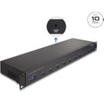 Delock 19" Industrie Hub 10 x USB 10 Gbps Typ-A (64240)