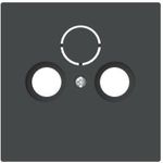 BUSCH-JAEGER 1743-45M Zentralscheibe Antennen 2/3-fach (2CKA001724A4435)