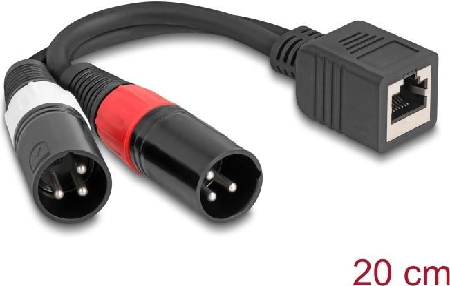 Delock Adapterkabel RJ45 Buchse zu 2 x XLR 3 Pin Stecker schwarz 20 cm (88179)