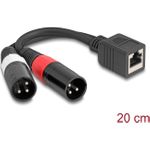 Delock Adapterkabel RJ45 Buchse zu 2 x XLR 3 Pin Stecker schwarz 20 cm (88179)