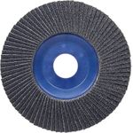 Bosch Accessories 2608607327 X571 Fächerschleifscheibe Durchmesser 125 mm Bohrungs-Ø 22.33 mm Stahl 1 St. (2608607327)