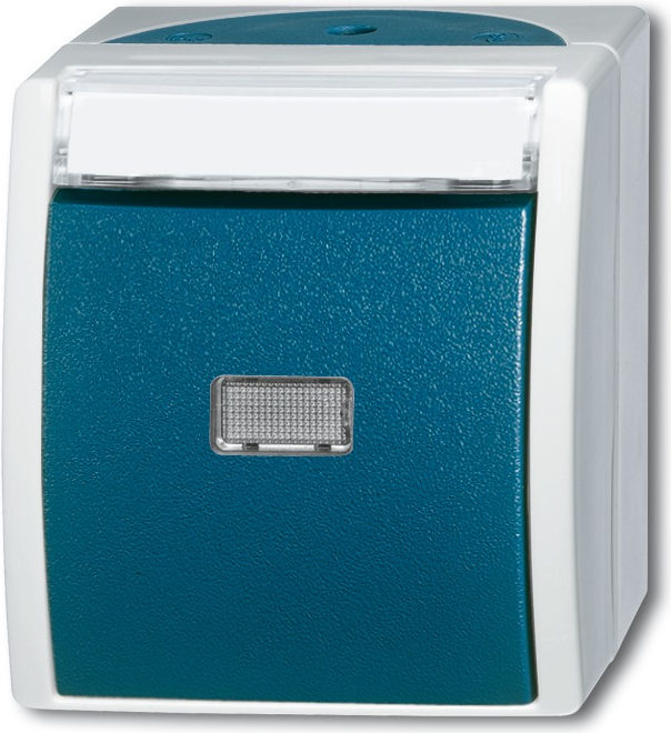 BUSCH-JAEGER Taster/Schliesser 2621WN-53-201 ocean blau 2pol. mit Namensschild 2621WN-53-201 (1484-0-0373)