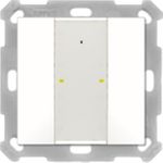 MDT technologies Taster Plus 55 2-fach, Reinweiß glä BE-TA55P2.G2 (BE-TA55P2.G2)