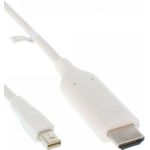 InLine 1m Mini DisplayPort (17171I)