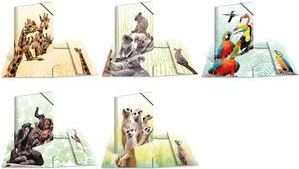 HERMA Tropenclique Konventioneller Dateiordner (19959)