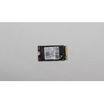 Lenovo SSD 256GB M.2 2242 PCIe4x4 SAM OPAL (5SS0W79502)