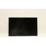 Lenovo 16-inch IPS LCD panel WUXGA 1920x1080 (5D11U28577)