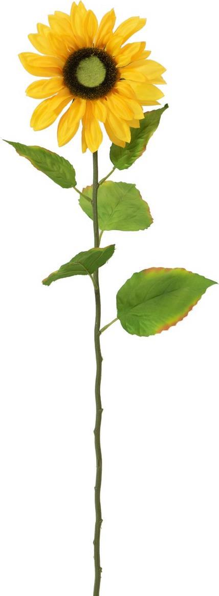 EUROPALMS Sonnenblume, Kunstpflanze, 70cm (82522097)