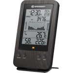 Bresser Profi Regenmesser WTW (7002533)